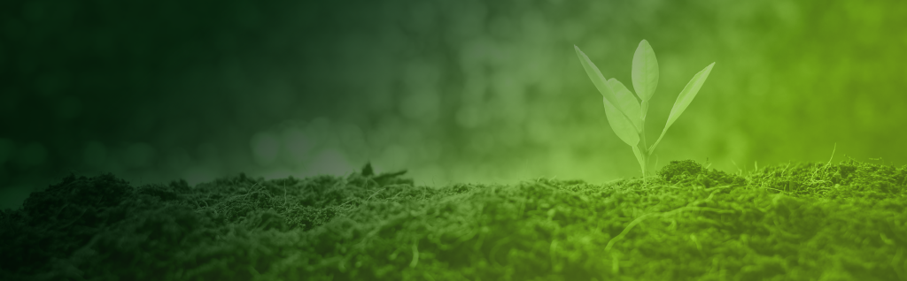 Blog Page Header Green Economy